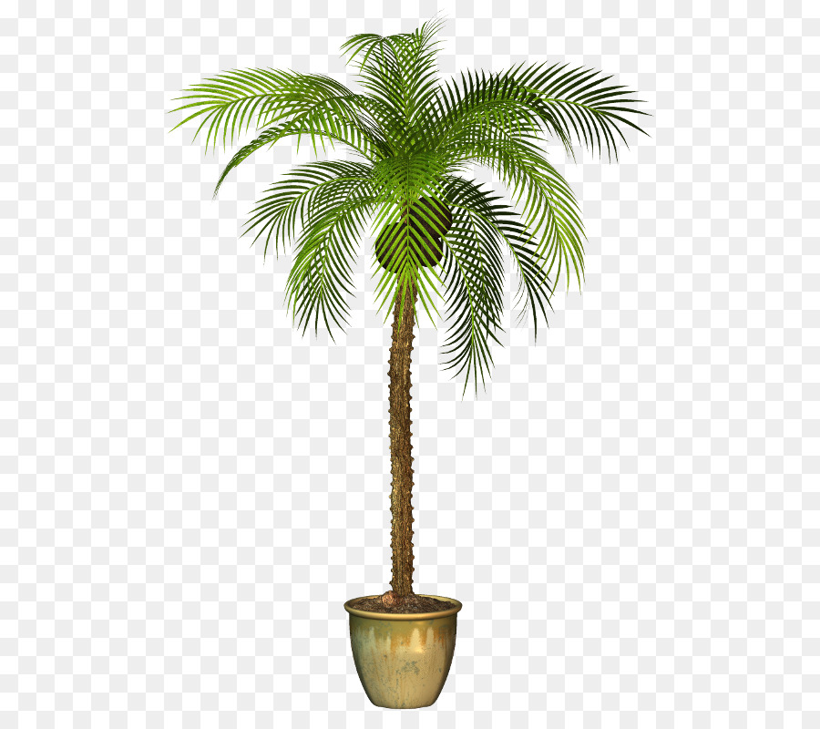 الآسيوية تدمر النخيل Arecaceae مصنع صورة بابوا نيو غينيا