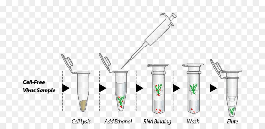 استخراج الحمض النووي الريبي Rna Trizol صورة بابوا نيو غينيا