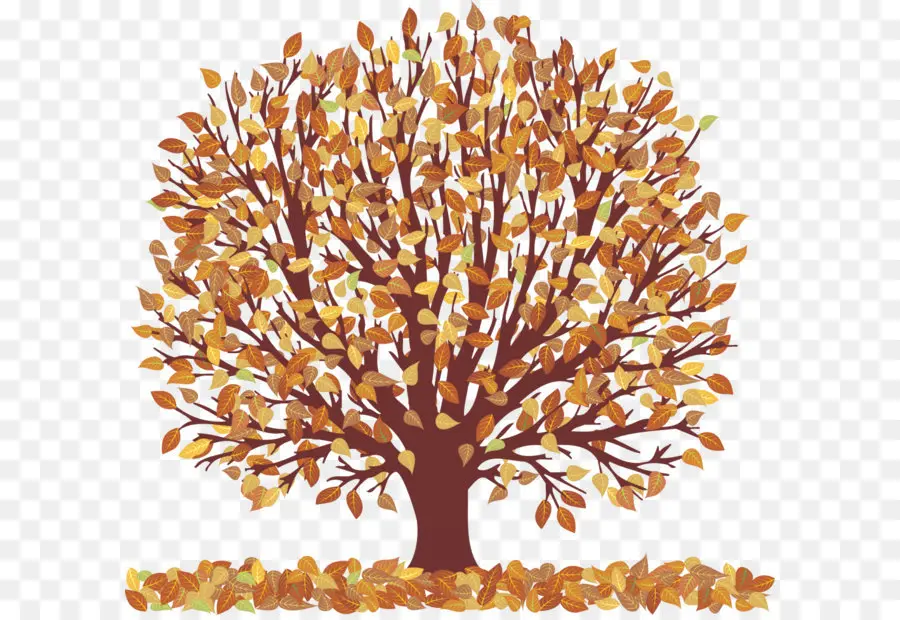 الخريف，شجرة PNG