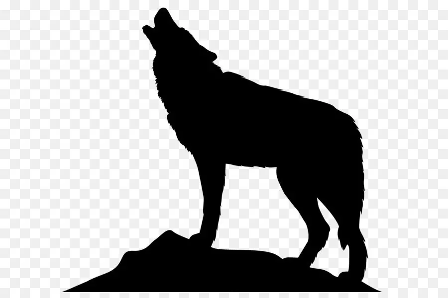 الرمادي الذئب，صورة ظلية ، PNG