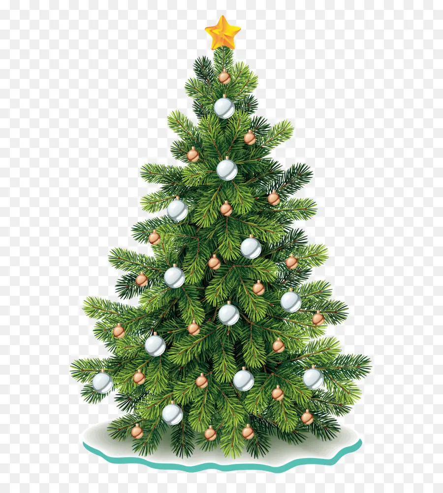 التنوب النبيل，شجرة عيد الميلاد PNG