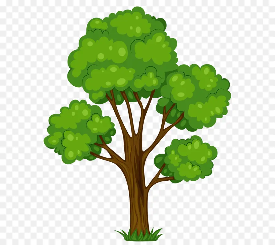 شجرة，خالية من الاتاوات PNG