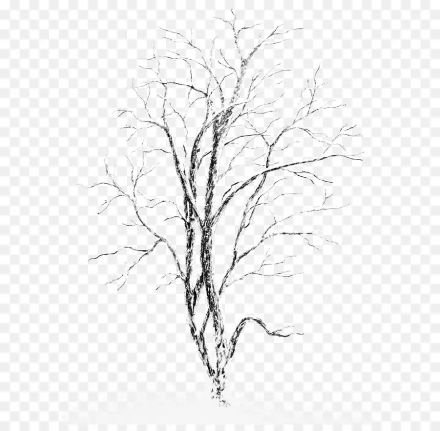 شجرة，الثلوج PNG