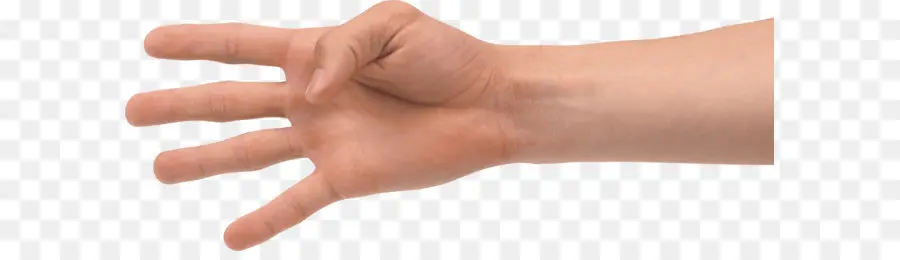الاصبع，اليد PNG