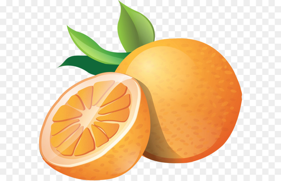 البرتقال，البرتقال شريحة PNG