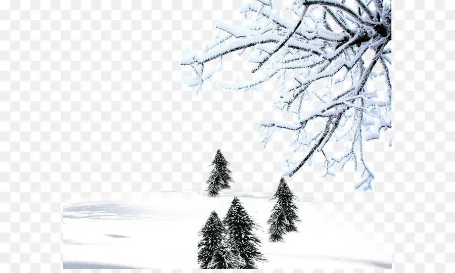 الثلوج，الشتاء PNG