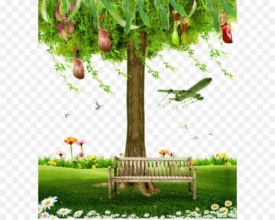 كرسي，شجرة PNG