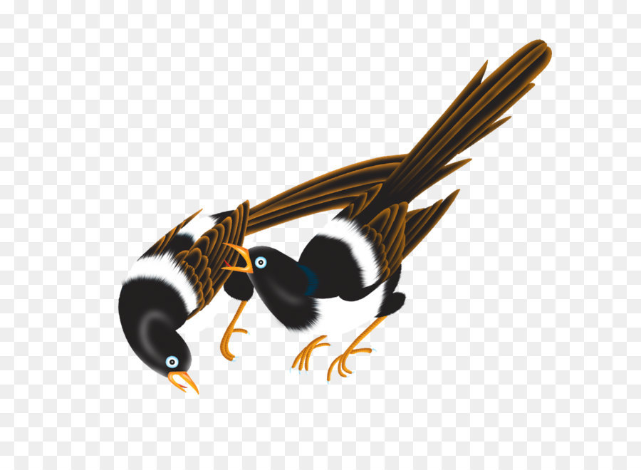 حشرة，طائر PNG