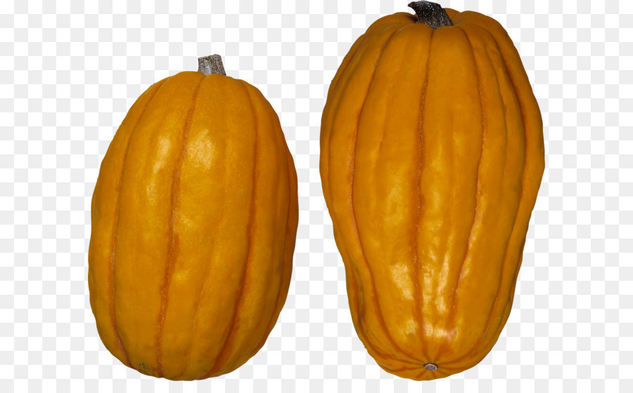 Pattypan الاسكواش，الشتاء الاسكواش PNG