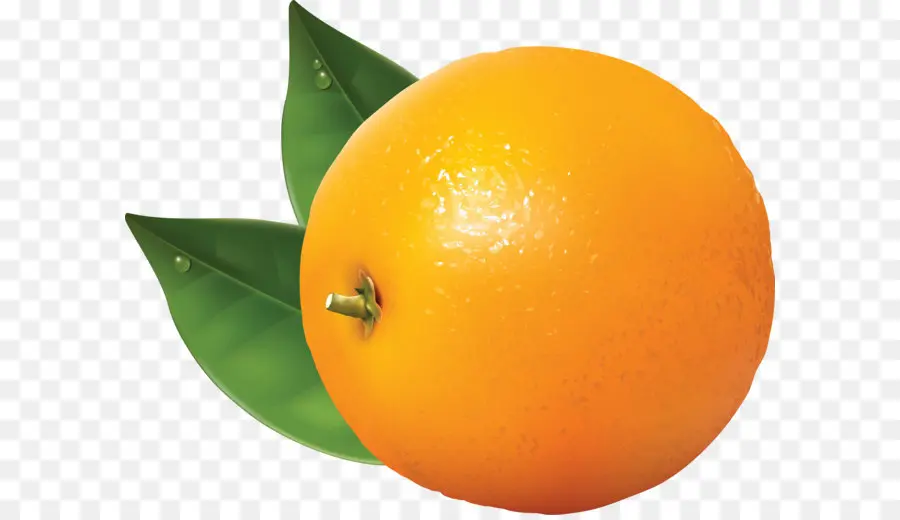 اليوسفي والبرتقال，البرتقال PNG