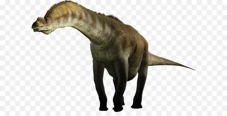 Argentinosaurus，ديناصور حجم PNG