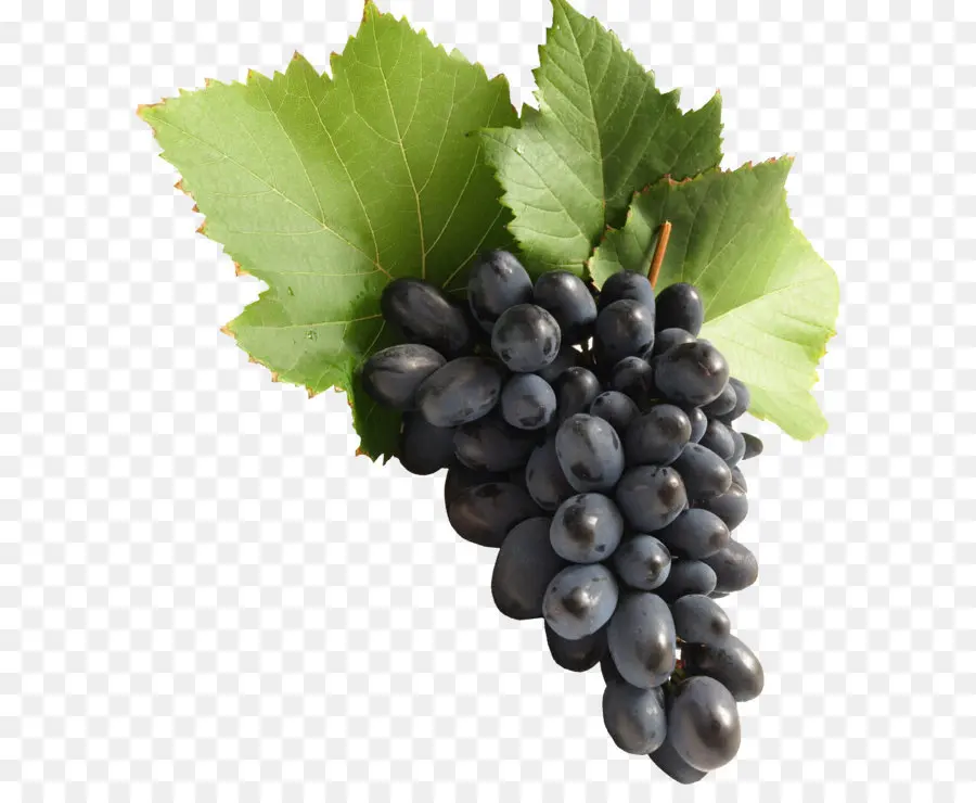 المشتركة العنب العنب，النبيذ PNG