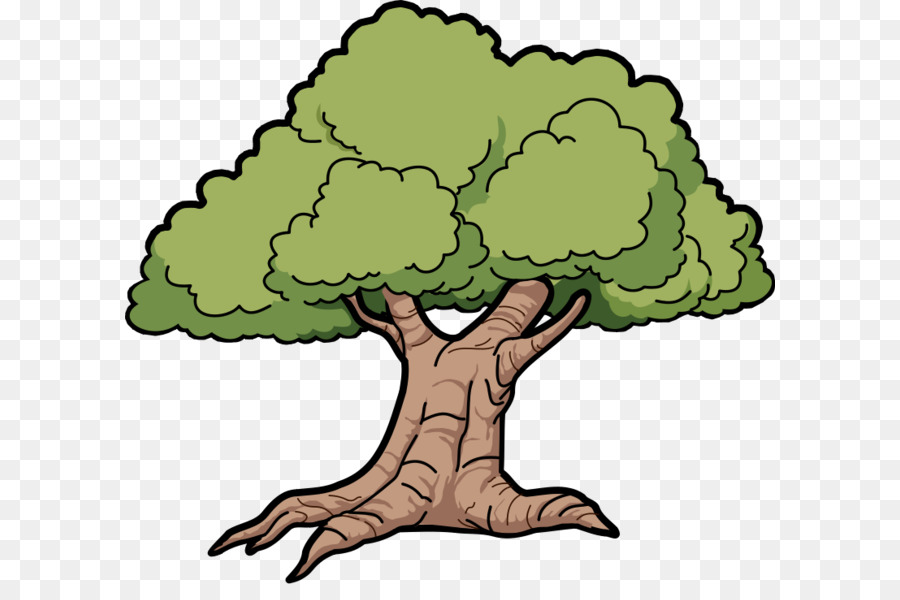 البلوط شجرة الرسم صورة بابوا نيو غينيا