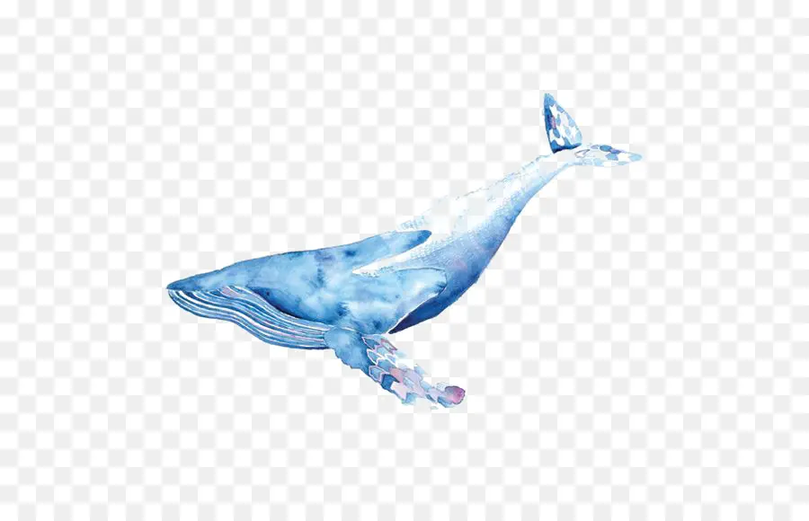 الحوت，الرسم بالألوان المائية PNG