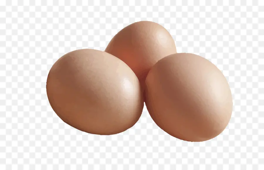 البيض，البني PNG
