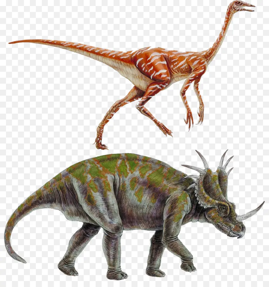 Styracosaurus，الديناصور PNG