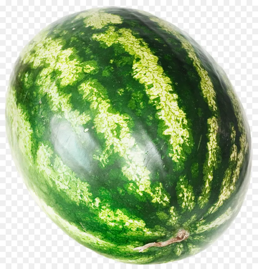 البطيخ，الحنظل Lanatus PNG
