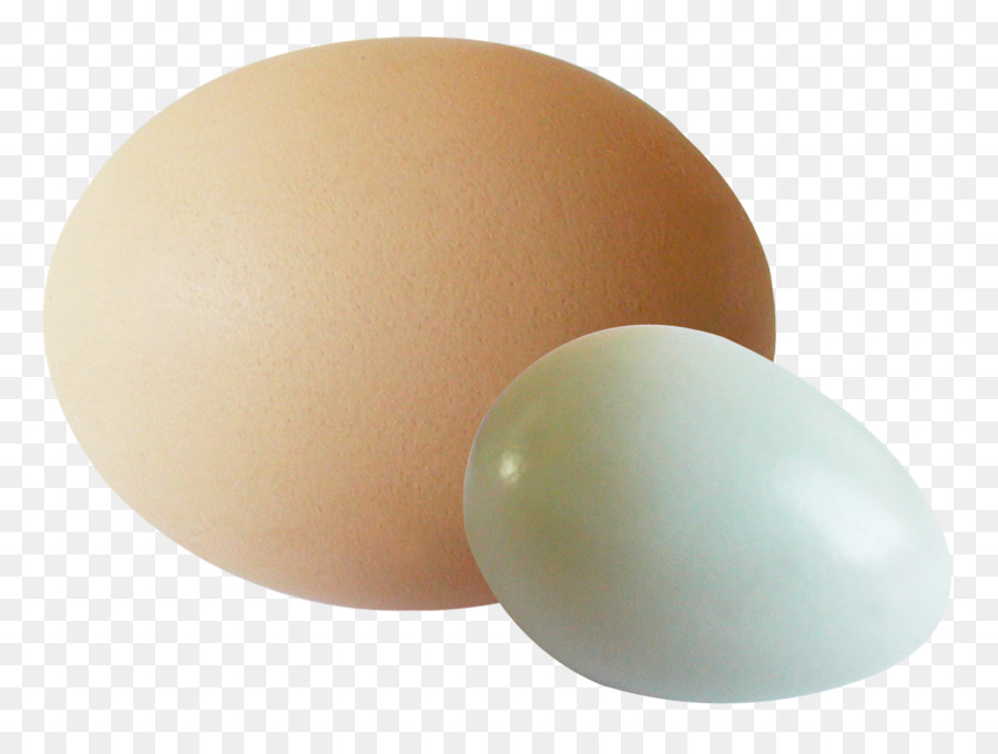 بياض البيض，البيض PNG