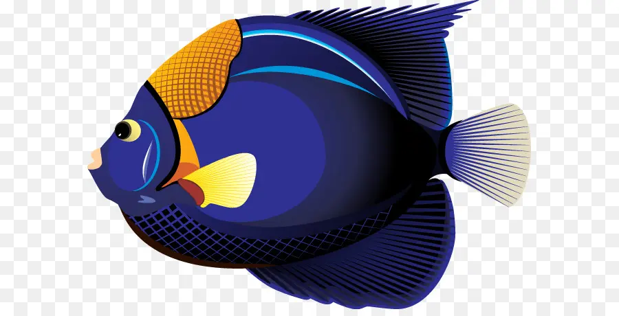 الأسماك，الأسماك الاستوائية PNG