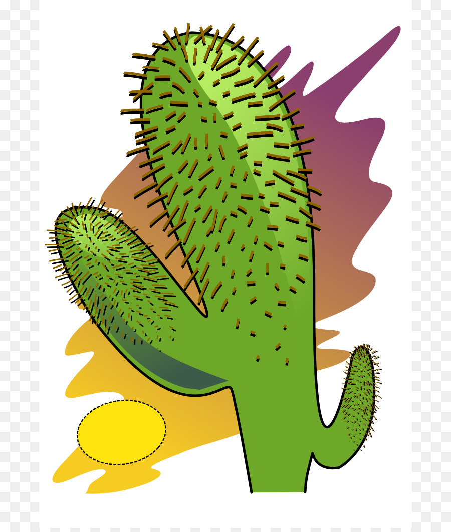 الصحراء，Cactaceae PNG