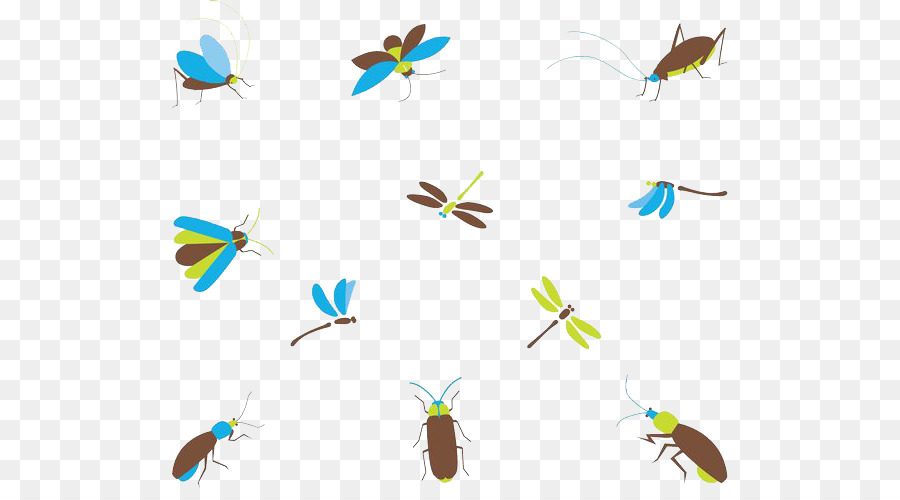 صرصور，الحشرات PNG