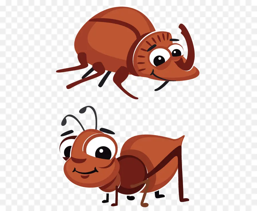 النمل，الكرتون PNG