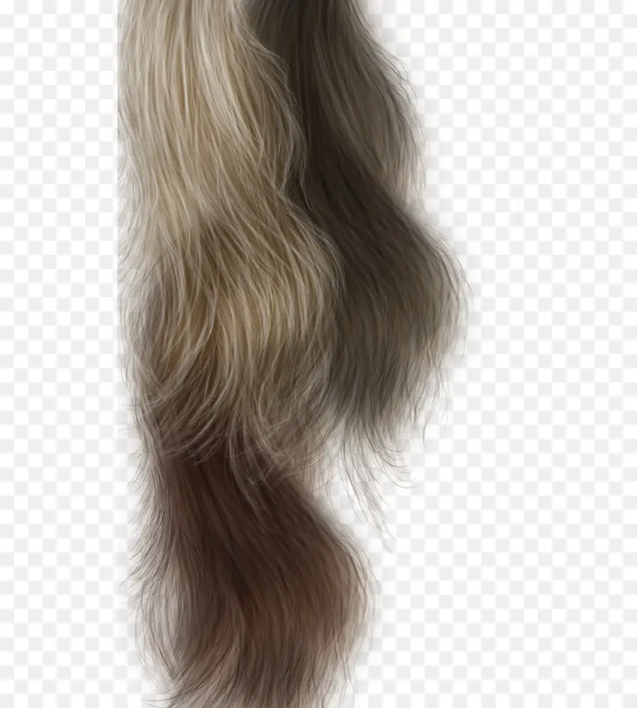 الشعر，الشعر الطويل PNG