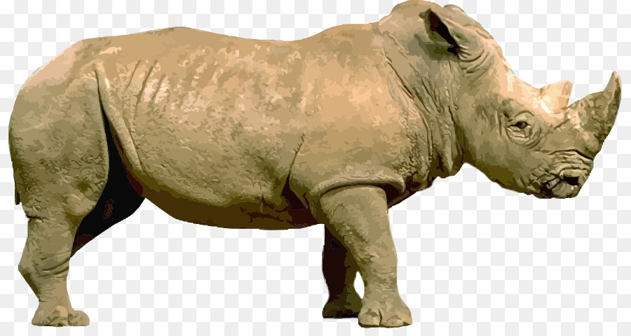 وحيد القرن, الرسم, الأسهم التصوير صورة بابوا نيو غينيا