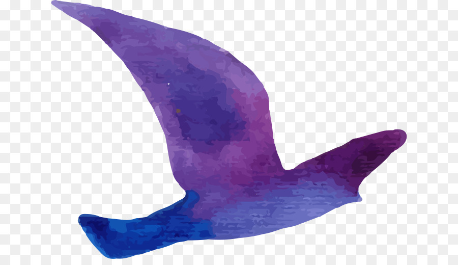 الطيور，Adobe Illustrator PNG