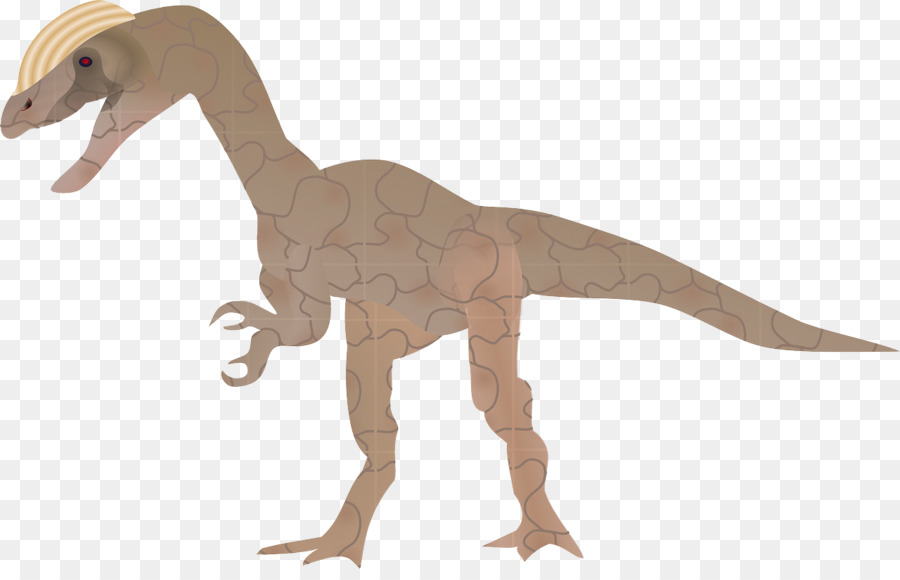 ديناصور，الإقليدية ناقلات PNG