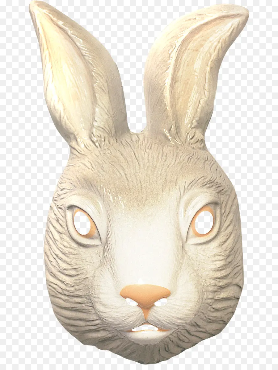 أرنب عيد الفصح，قناع PNG