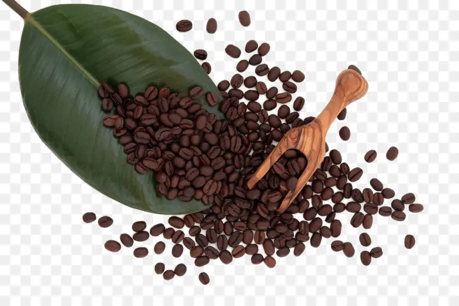 القهوة，Caffxe8 أمريكانو PNG