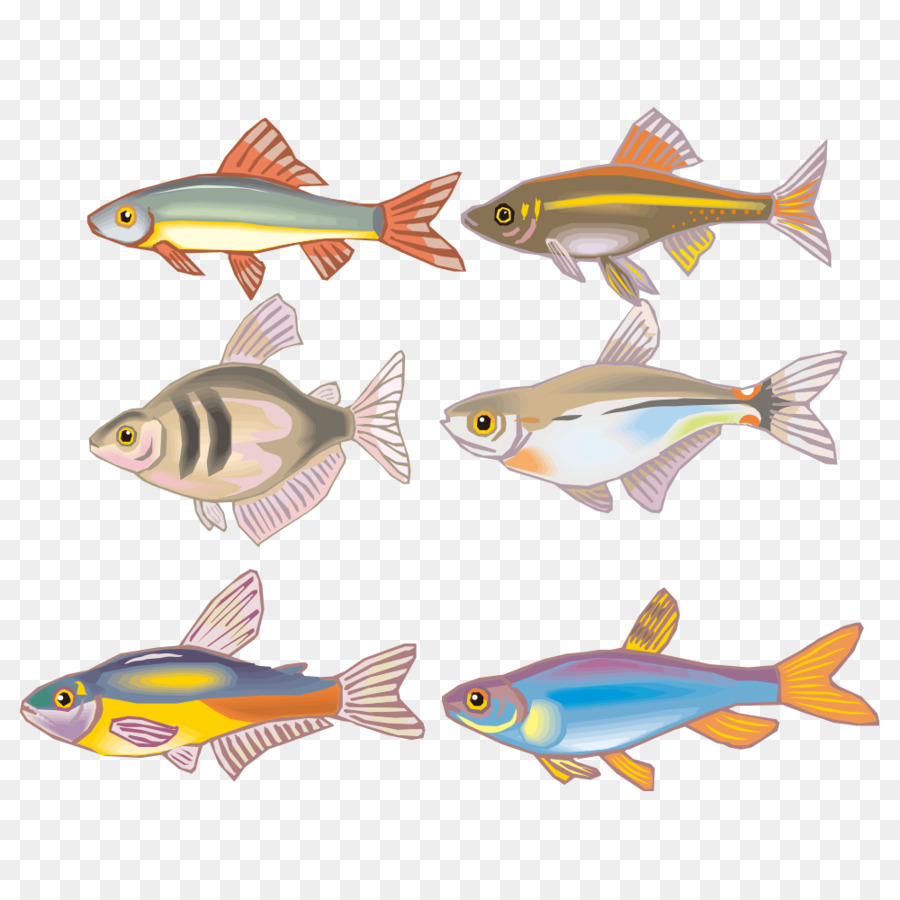الأسماك，الكرتون PNG