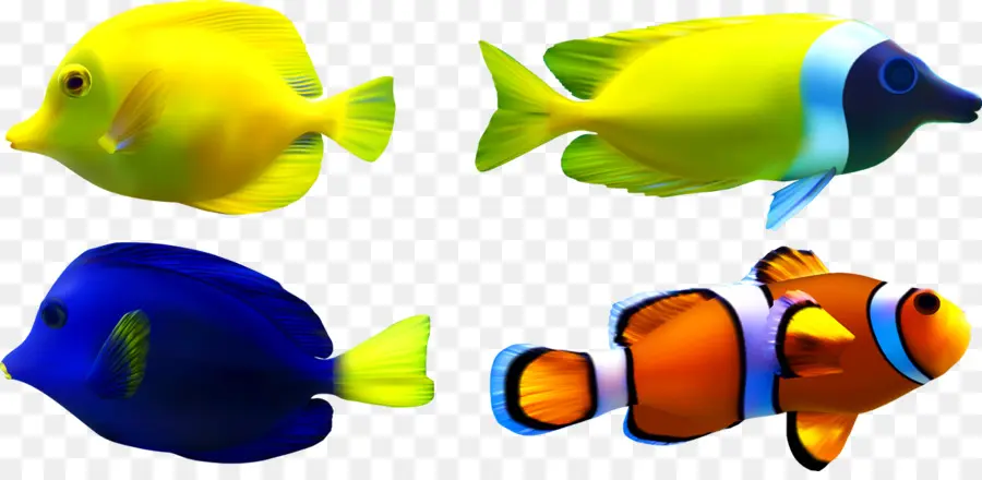 الأسماك，قاع البحر PNG