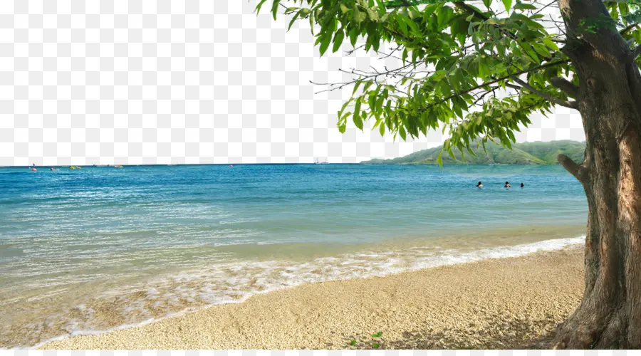الشاطئ，خليج PNG