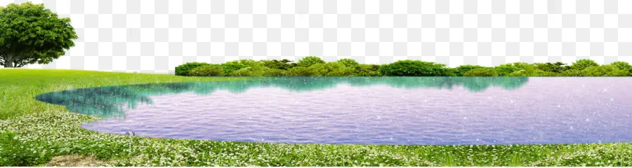 العشب，بحيرة PNG