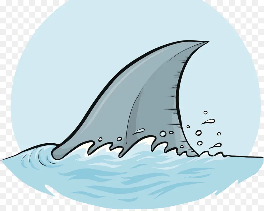 القرش，الزعنفة الظهرية PNG
