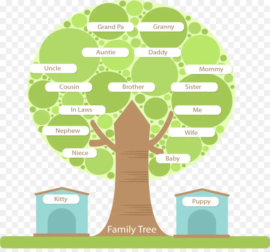 شجرة العائلة，شجرة PNG