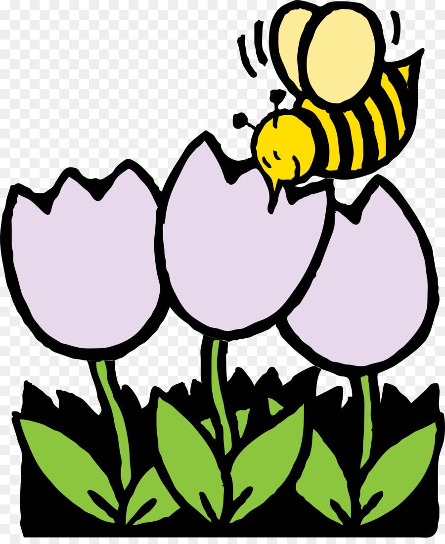 النحل，كتاب تلوين PNG