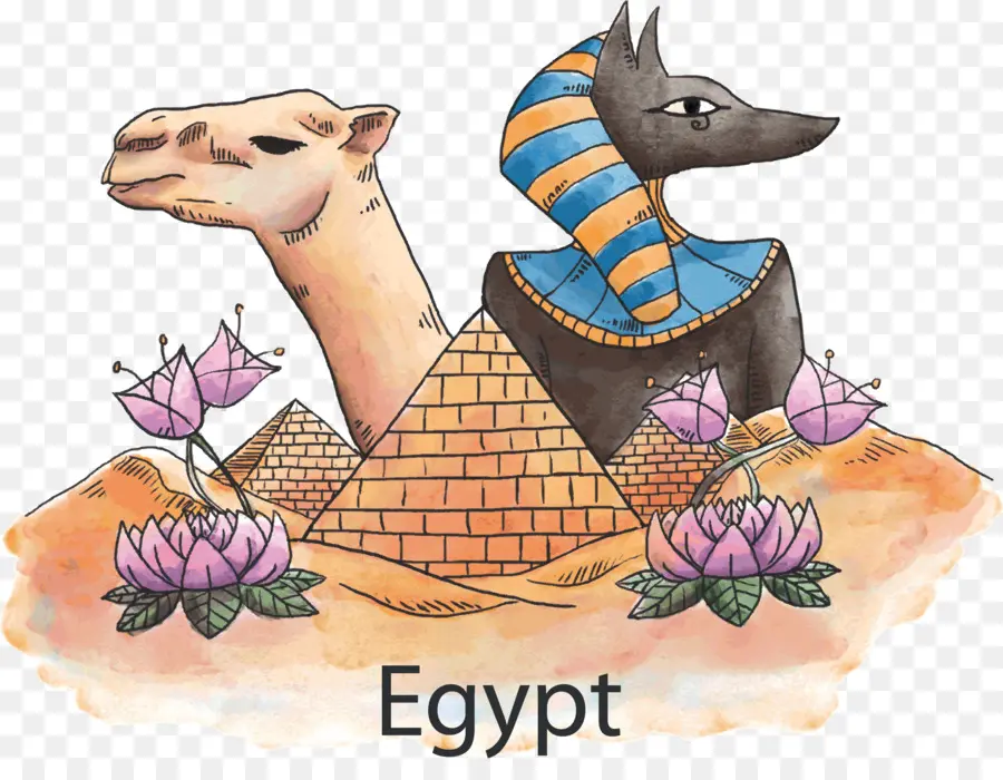 مصر التوضيح，جمل PNG