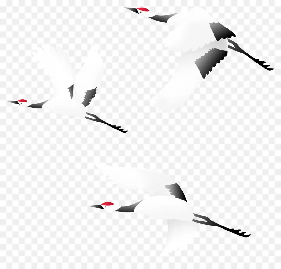 الطيور，رافعة PNG