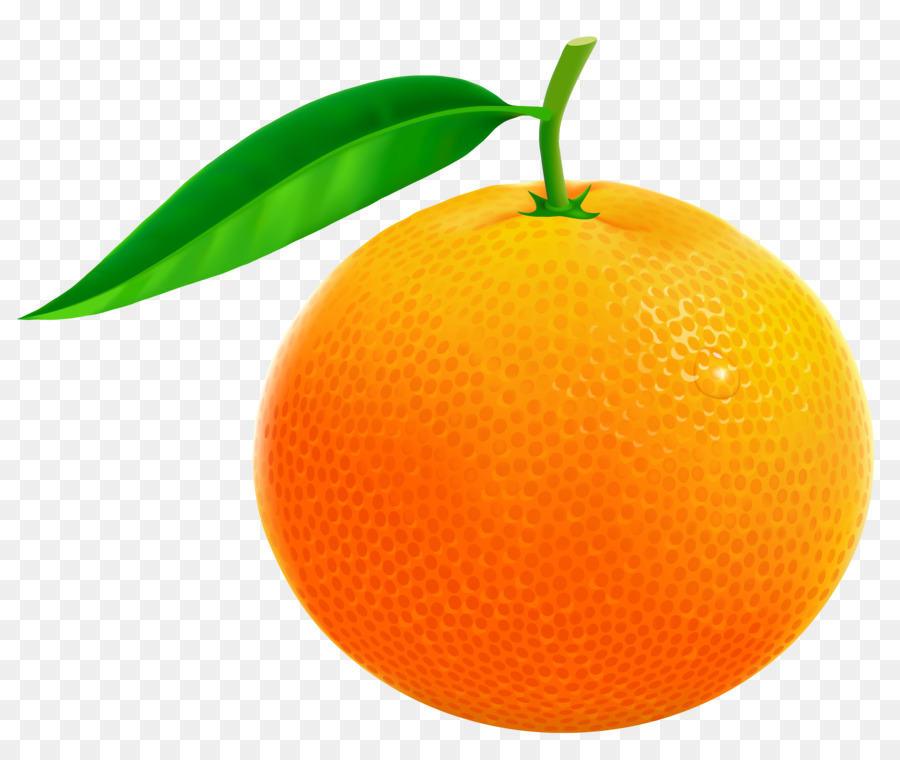 البرتقال المحتوى المجاني الفاكهة صورة بابوا نيو غينيا