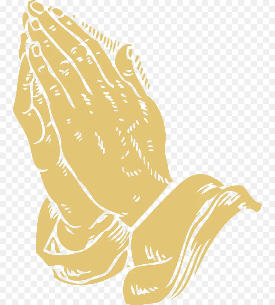 الصلاة اليدين，الكتاب المقدس PNG