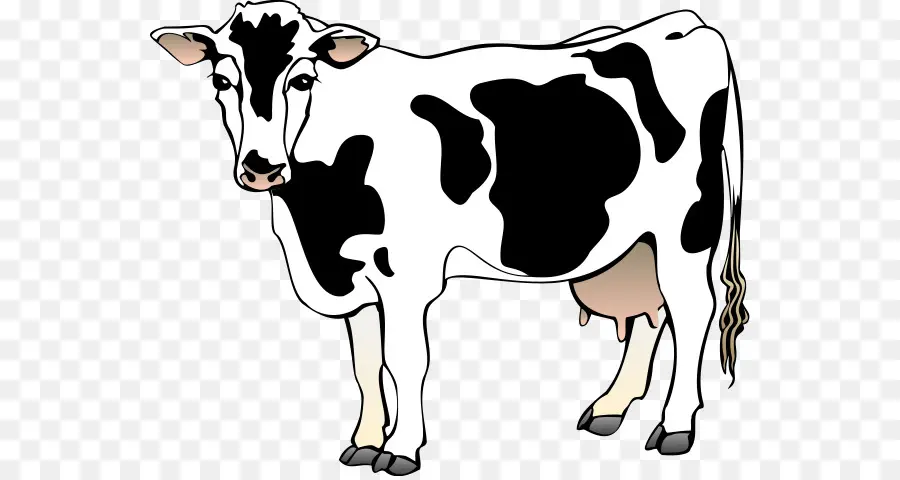 الأبقار الفريزيان هولشتاين，المحتوى المجاني PNG
