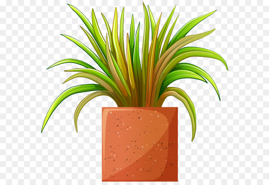 مصنع，ل Houseplant PNG