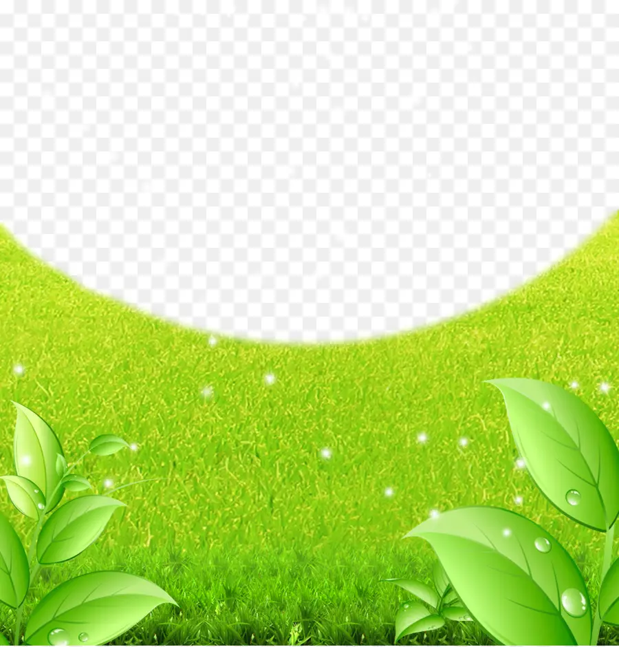 أخضر，العشب PNG