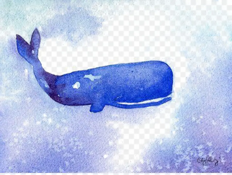 الحوت，الأسهم التوضيح PNG