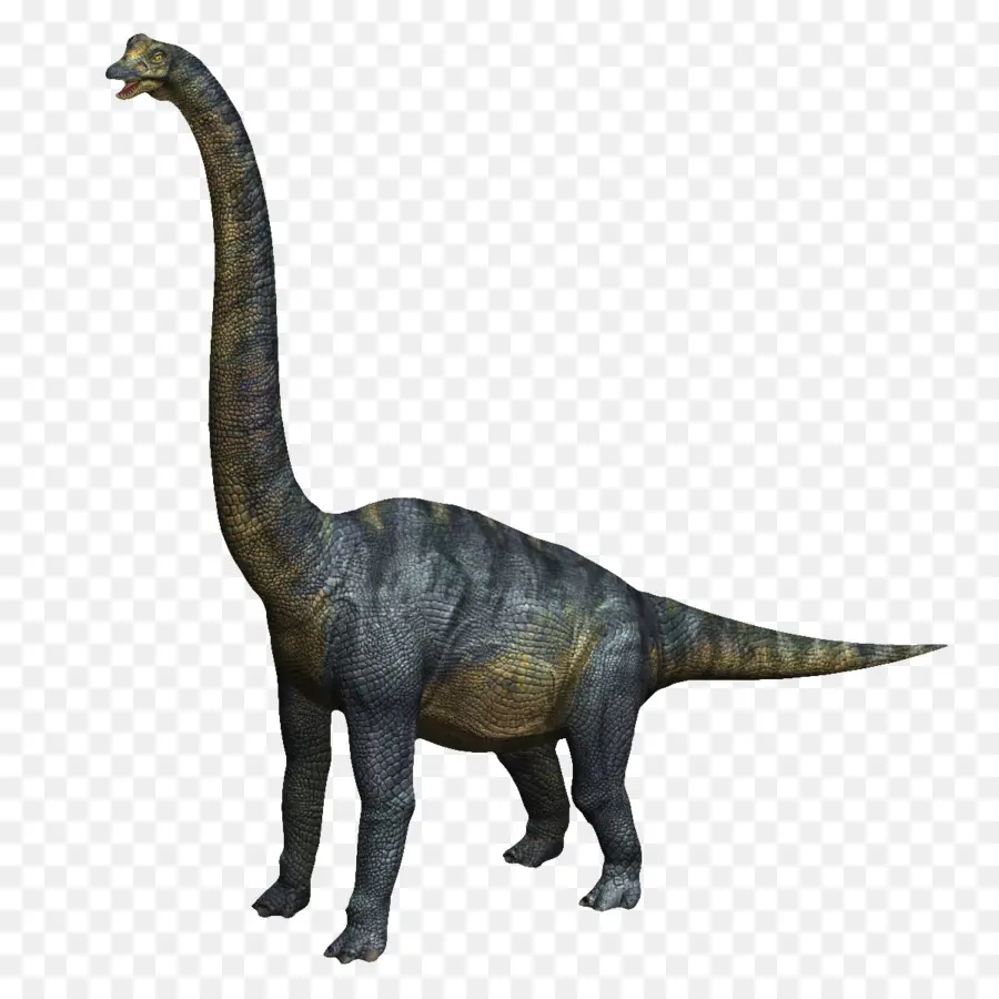 فيلوسيرابتور，Brachiosaurus PNG