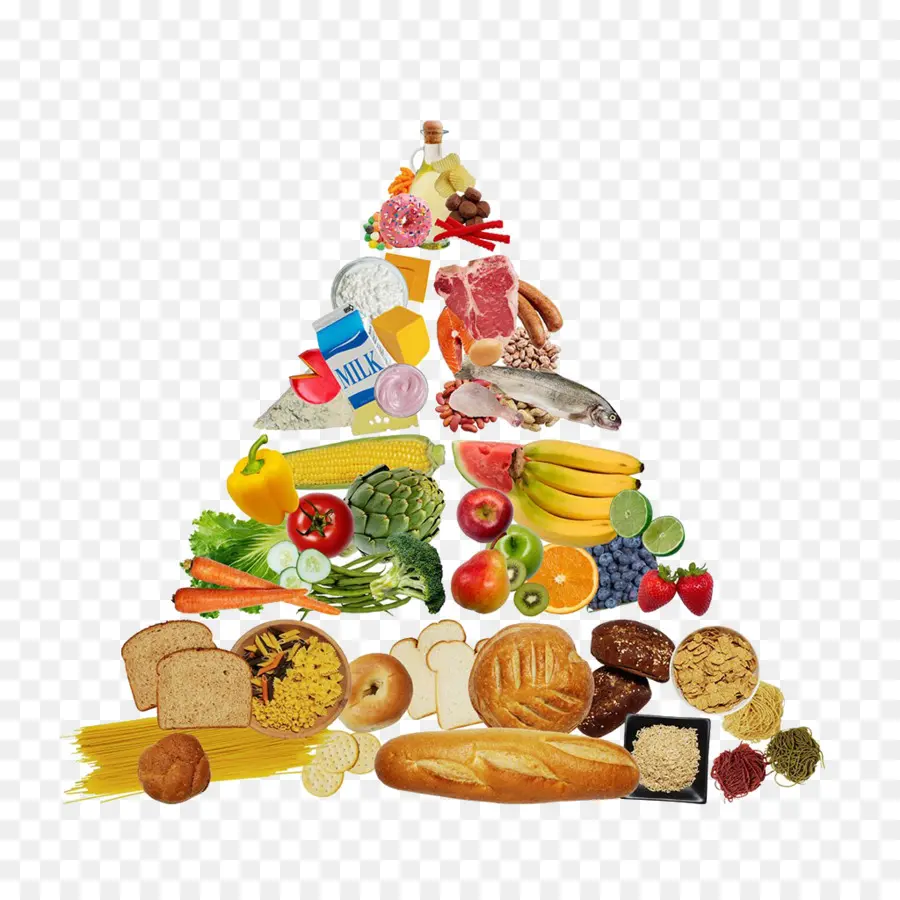 نظام غذائي صحي，النظام الغذائي PNG