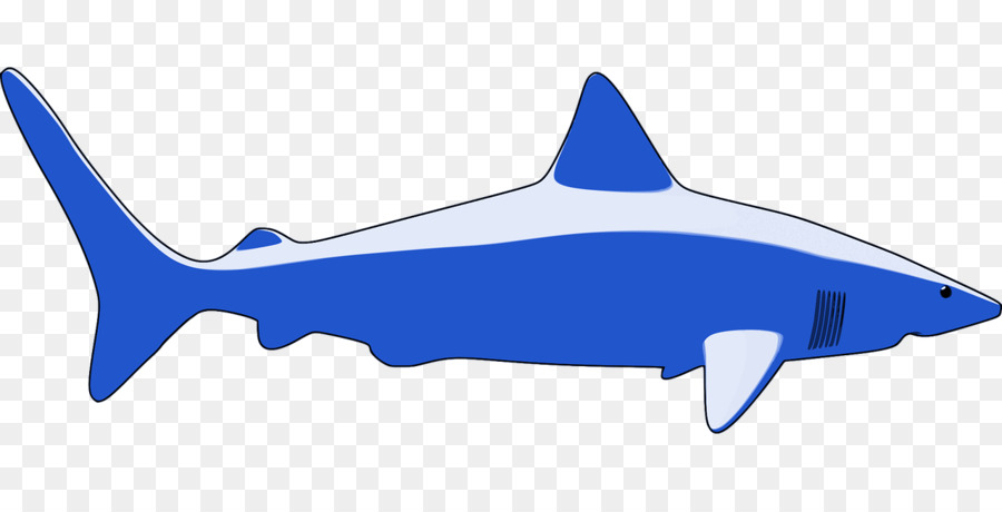 القرش，مكافحة ناقلات الرسومات للتحجيم PNG
